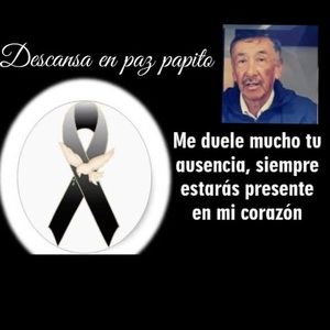 Meet your Posher, Leonardo fabian